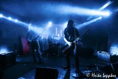 2025-05-30-Crimson-Leaves-@-MTC-DSC03105