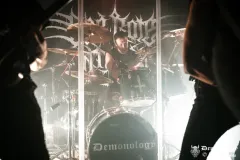 2025-11-15-Der-Rote-Milan-@-Valhalla-DSC09201