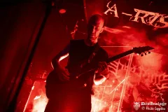 2025-11-15-Der-Rote-Milan-@-Valhalla-DSC09211