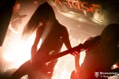 2025-11-15-Der-Rote-Milan-@-Valhalla-DSC09242