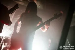 2025-11-15-Der-Rote-Milan-@-Valhalla-DSC09247