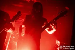 2025-11-15-Der-Rote-Milan-@-Valhalla-DSC09249