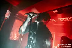 2025-11-15-Der-Rote-Milan-@-Valhalla-DSC09250