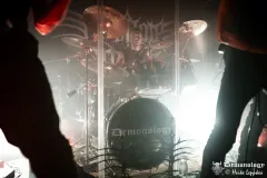 2025-11-15-Der-Rote-Milan-@-Valhalla-DSC09277