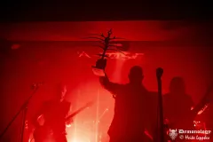 2025-11-15-Der-Rote-Milan-@-Valhalla-DSC09315