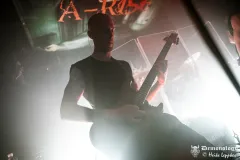 2025-11-15-Der-Rote-Milan-@-Valhalla-DSC09326