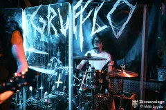 2026-02-07-Grufflo-@-Valhalla-DSC01872