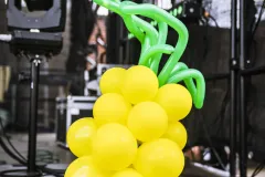 2025-08-02-King-Of-Fruits-@-Red-Balloon-DSC02294