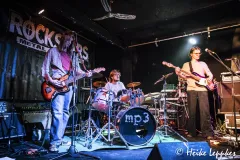 2025-06-06-Kleine-Scherben-@-Kulturschlachthof-DSC04463