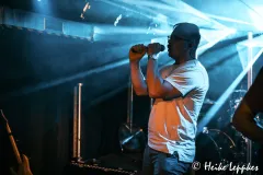 2025-05-16-Northern-Light-@-Monkeys-DSC01597