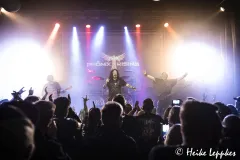 2024-10-25-Phoenix-Rising-@-Resonanzwerk-09392