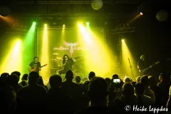 2024-10-25-Phoenix-Rising-@-Resonanzwerk-09397
