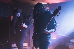 2024-02-14-Rana-@-Wild-Rover-01067-2