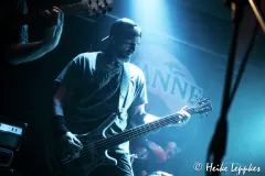 2026-02-13-Roidig-@-Pauls-Savanne-DSC00643