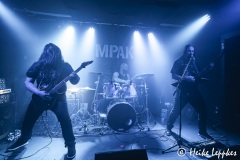 2024-05-04-Sekoria-@-Ponyhof-07786