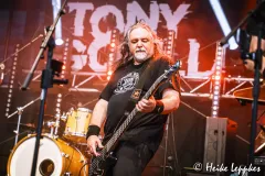 2025-08-01-Tony-Gorilla-@-Red-Balloon-DSC01313