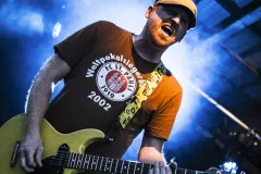 2025-08-30-True-Voodoo-@-Lippcity-Rock-DSC07519