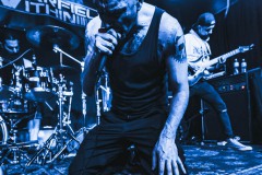 2024-04-06-Warfield-Within-@-Schattenfest-02450