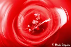 2026-04-17-Warfield-Within-@-RKW-Viersen-DSC00692